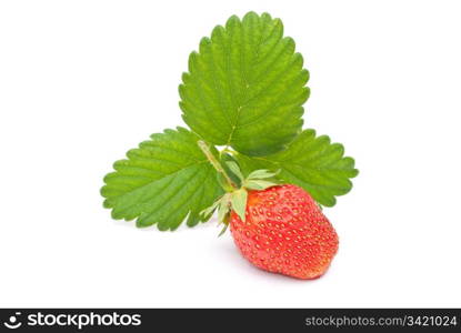 Fresh strawberry fruit with green leaves