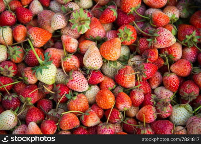 Fresh Strawberry - full frame