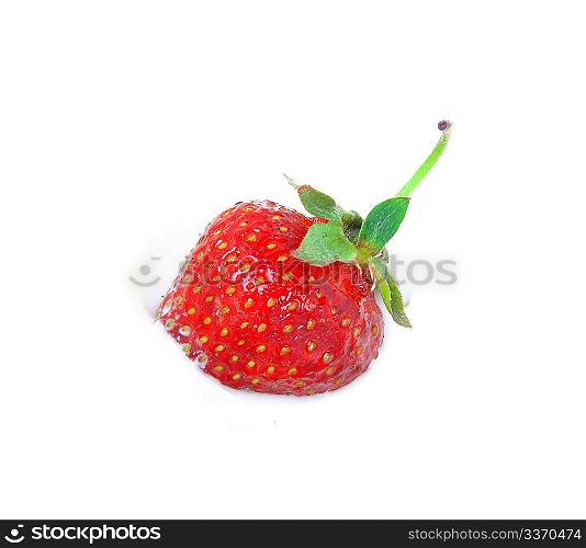 Fresh strawberry in white icecream