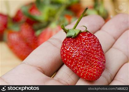 fresh strawberry on hand