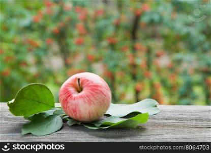 fresh striped apple on the old board in the garden