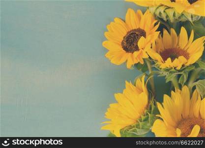 Fresh Sunflowers border on blue wooden background, retro toned. Sunflowers on blue