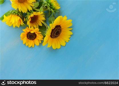 Fresh Sunflowers bouquet on blue wooden background with copy space. Sunflowers on blue