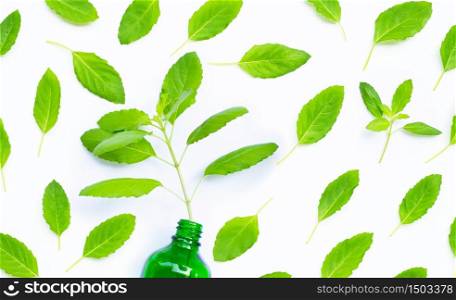 Fresh sweet basil leaves on white background. Top view