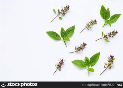Fresh sweet basil leaves with flower on white background. Copy space
