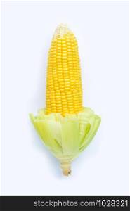 Fresh sweet corn on white background. Top view