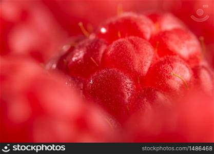 Fresh sweet raspberries close up background. Blured background macro. Selective focus. Fresh sweet raspberries close up background. Blured background macro.