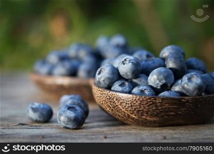 Fresh sweet tasty Blueberries in the garden