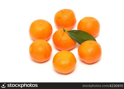 fresh tangerine fruits with green leaves isolated on white background