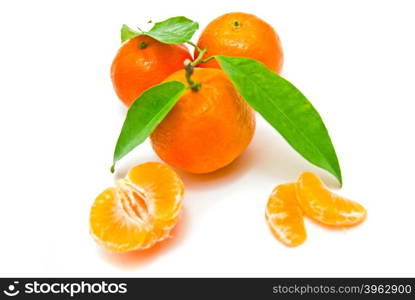 fresh tangerines on a branch on white background