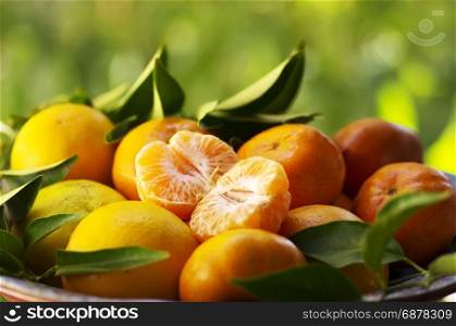 fresh tangerines on a green background