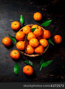 Fresh tangerines with leaves in a basket. Against a dark background. High quality photo. Fresh tangerines with leaves in a basket.