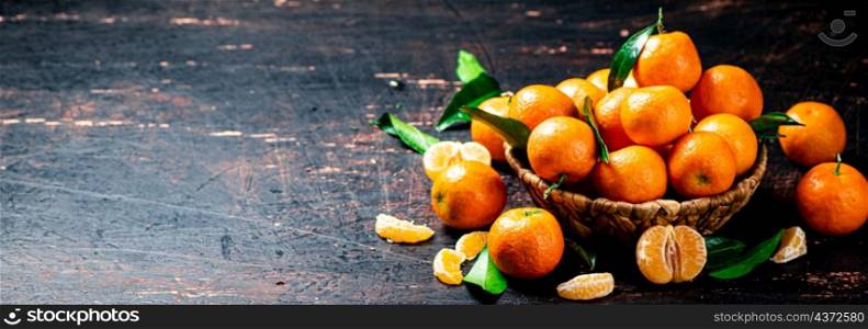 Fresh tangerines with leaves in a basket. Against a dark background. High quality photo. Fresh tangerines with leaves in a basket.