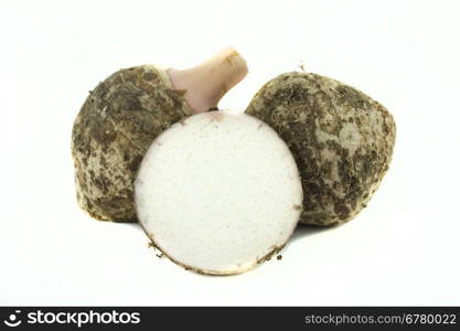 fresh taro root or Colocasia on a white background . fresh taro root