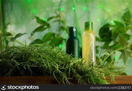 Fresh tarragon branches and tarragon oil. Bottle of tarragon herbs. Bottle with tarragon oil. Fresh green tarragon and essential oil