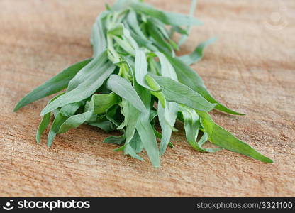 Fresh tarragon from the garden