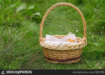 Fresh tasty chantarelles in a woven basket, close up background.