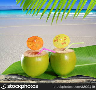 fresh tender green coconuts straw cocktails on tropical caribbean beach