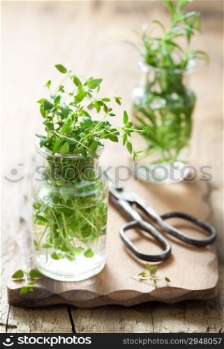 fresh thyme and rosemary herbs in glass