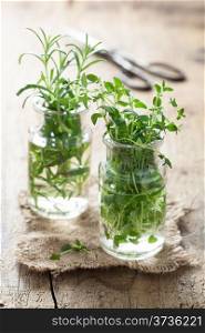 fresh thyme and rosemary in glass