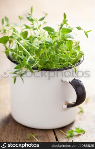 fresh thyme herb in enamel cup