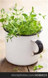 fresh thyme herb in enamel cup