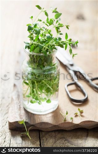 fresh thyme herb in glass