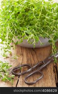 fresh thyme herb in metal bowl