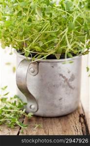 fresh thyme herb in rustic cup