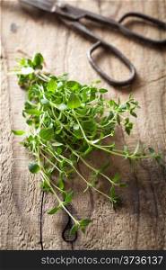 fresh thyme herb on wooden background
