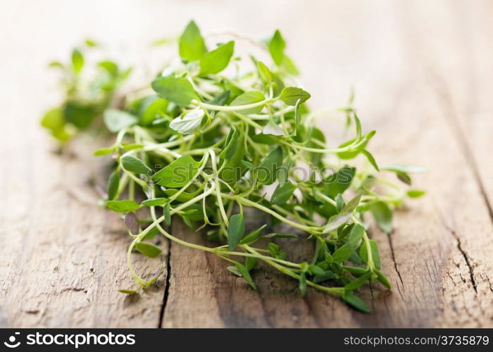 fresh thyme on wooden background