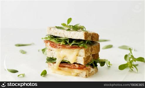 fresh toast with cheese vegetables. High resolution photo. fresh toast with cheese vegetables. High quality photo