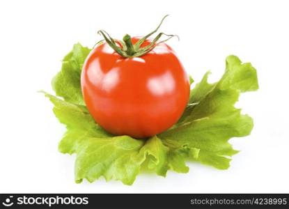 Fresh tomato and lettuce isolated over white background