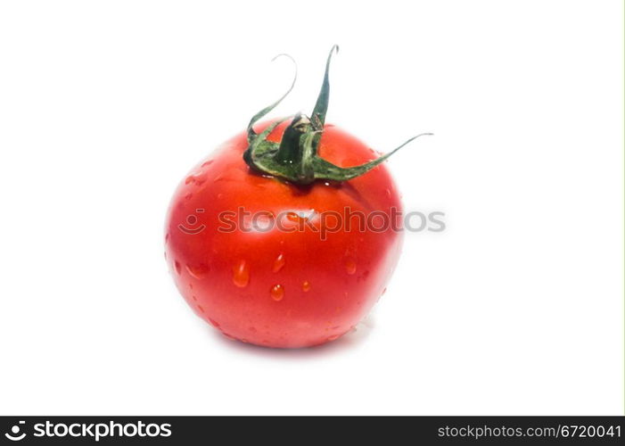 Fresh tomato, isolated on white background