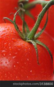 fresh tomato with water drops close up