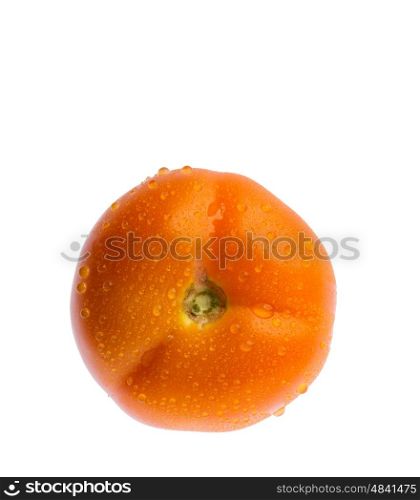 fresh tomato with water drops in white background