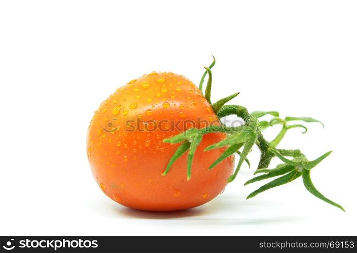 Fresh tomato with water drops isolated on white