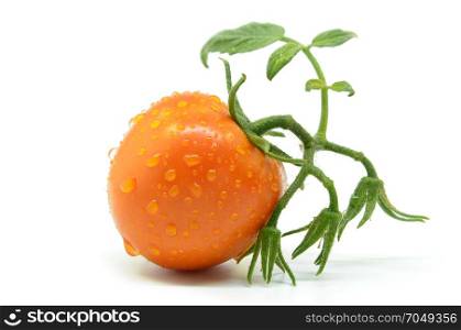 Fresh tomato with water drops isolated on white