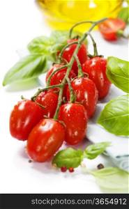 fresh tomatoes and basil on white background