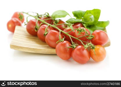 Fresh tomatoes and basil on wooden plate