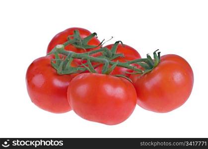 fresh tomatoes. fresh juicy red tomatoes isolated on white background