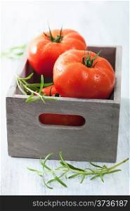 fresh tomatoes in box