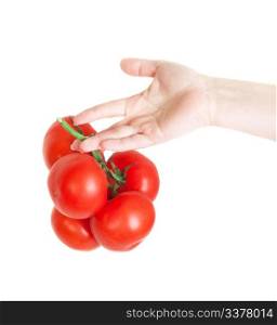 Fresh tomatoes in hand isolated on white