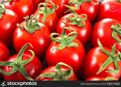 Fresh tomatoes in market package isolated