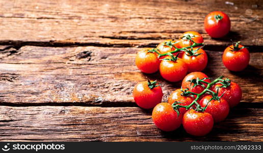 Fresh tomatoes on a branch on the table. On a wooden background. High quality photo. Fresh tomatoes on a branch on the table.