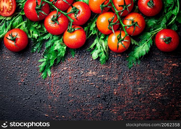 Fresh tomatoes on a branch with parsley. Against a dark background. High quality photo. Fresh tomatoes on a branch with parsley.
