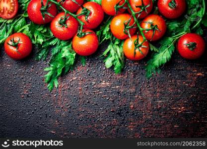 Fresh tomatoes on a branch with parsley. Against a dark background. High quality photo. Fresh tomatoes on a branch with parsley.