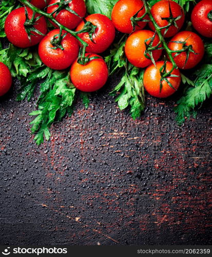 Fresh tomatoes on a branch with parsley. Against a dark background. High quality photo. Fresh tomatoes on a branch with parsley.