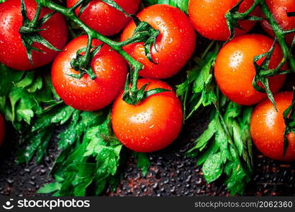 Fresh tomatoes on a branch with parsley. Against a dark background. High quality photo. Fresh tomatoes on a branch with parsley.