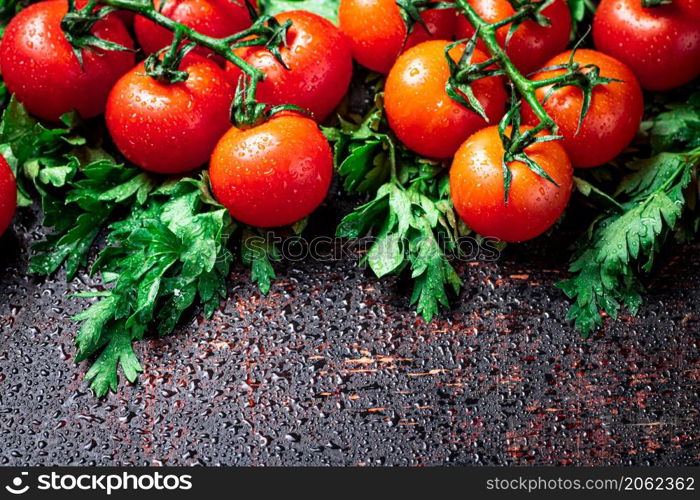 Fresh tomatoes on a branch with parsley. Against a dark background. High quality photo. Fresh tomatoes on a branch with parsley.